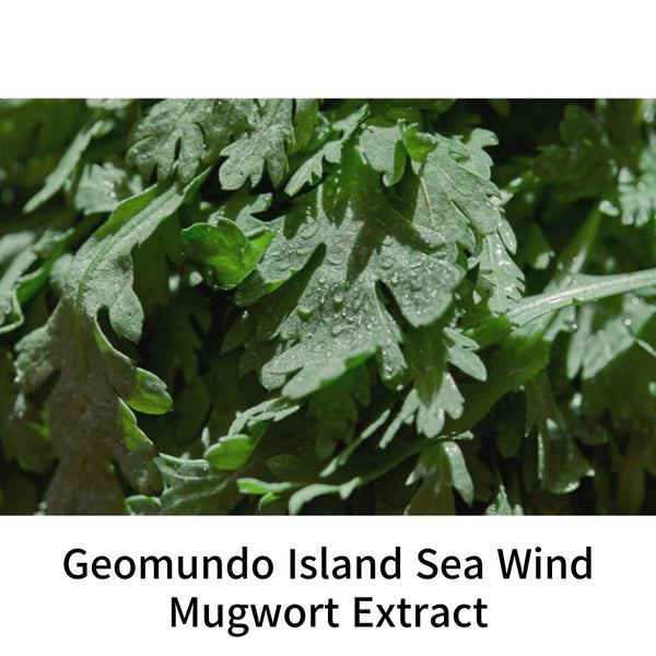 Round Lap See Breeze Mugwort Calming Serum 50ml