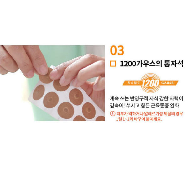 Daeil Ppappibang 1300 Magnet Patch Pain Relief 1200 Gauss Therapy Muscle Pain